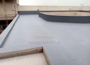 Treatment of Roof Leakages