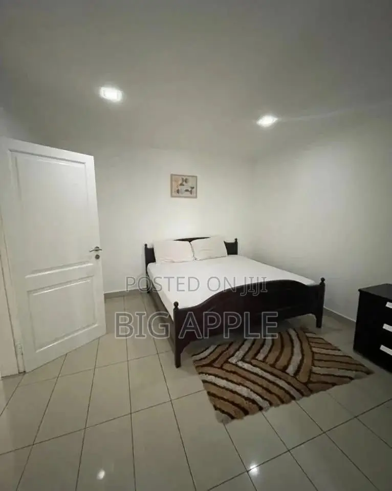 Furnished 2bdrm Apartment in East Legon for rent