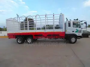 Hyundai Double Axles Register 22 Very Strong Truck