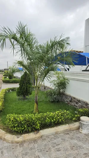 4bdrm House in Community 24, Sakumono for rent
