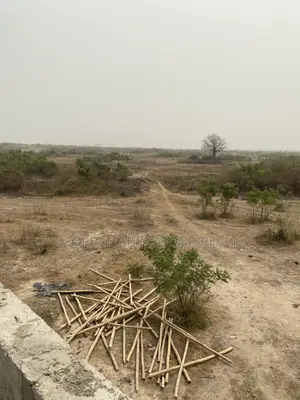 Buy Land Early - (Afienya) Mobole Cool Plots (Very Genuine)
