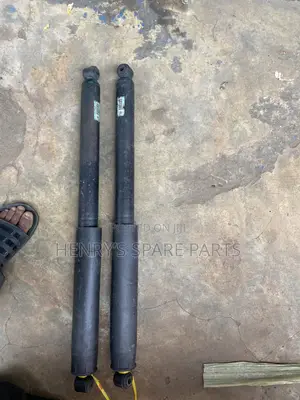F150 Back Shocks