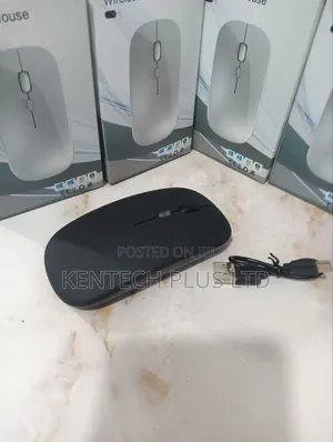 Rechargeable and Wireless Mouse