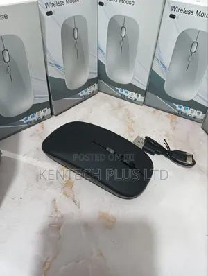 Rechargeable and Wireless Mouse