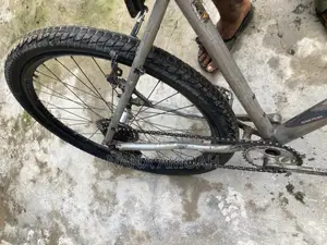Max Lite Bicycle