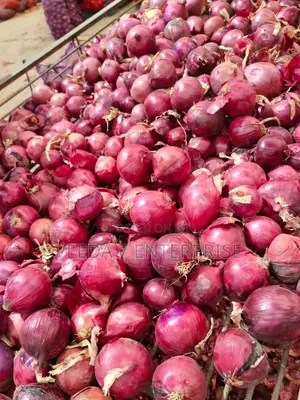 Fresh Onions