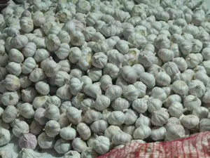 Fresh Garlic