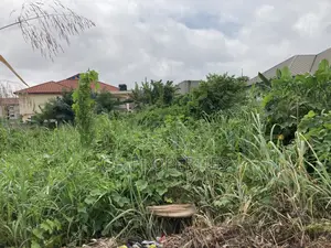 One Plot for Sale at Santasi,Anyinem.