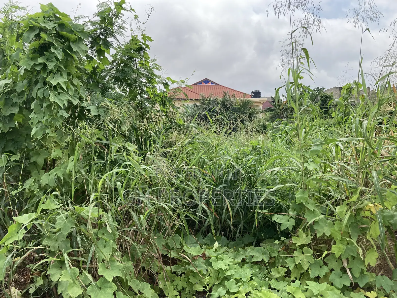 One Plot for Sale at Santasi,Anyinem.