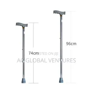 Walking Stick