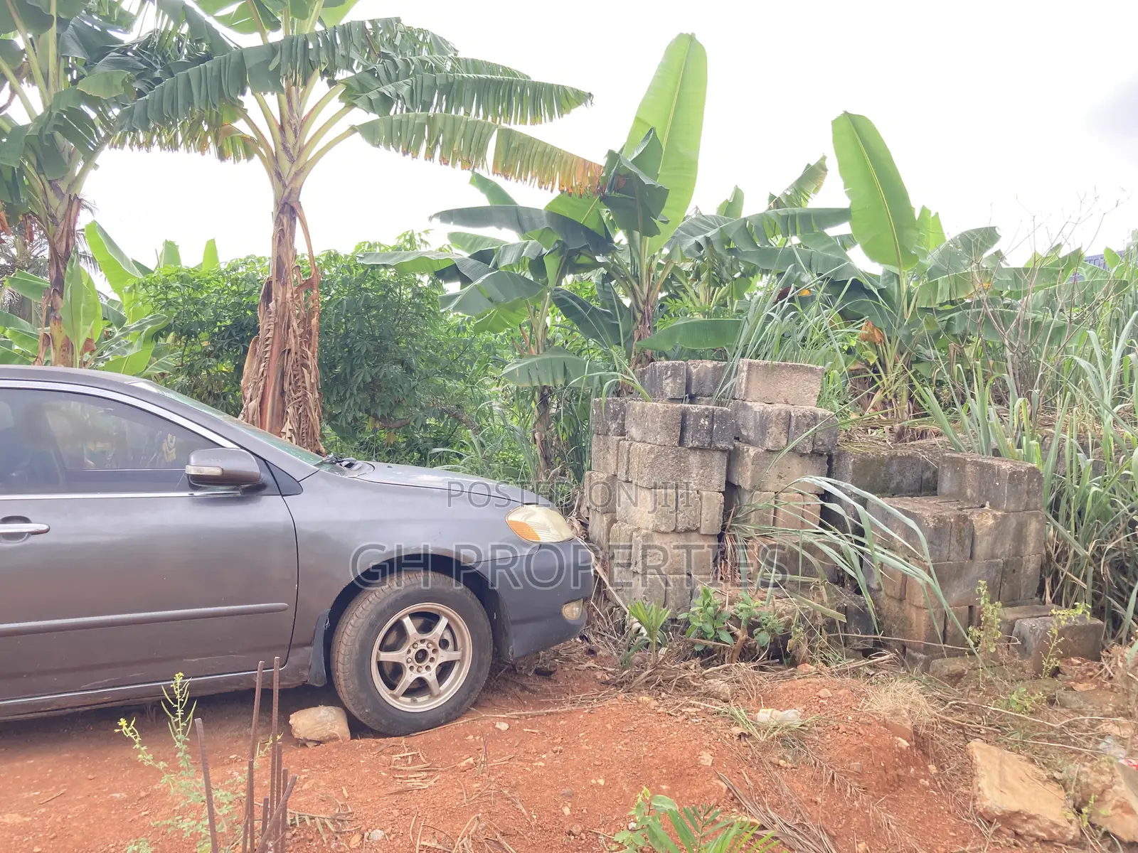 One Plot for Sale at Daban.