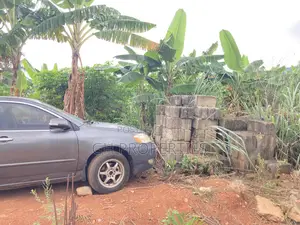 One Plot for Sale at Daban.