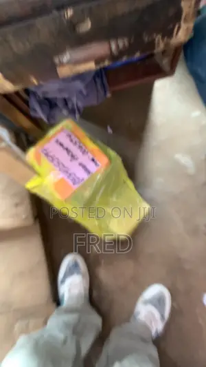 Fred Assist Procurement and Logistics