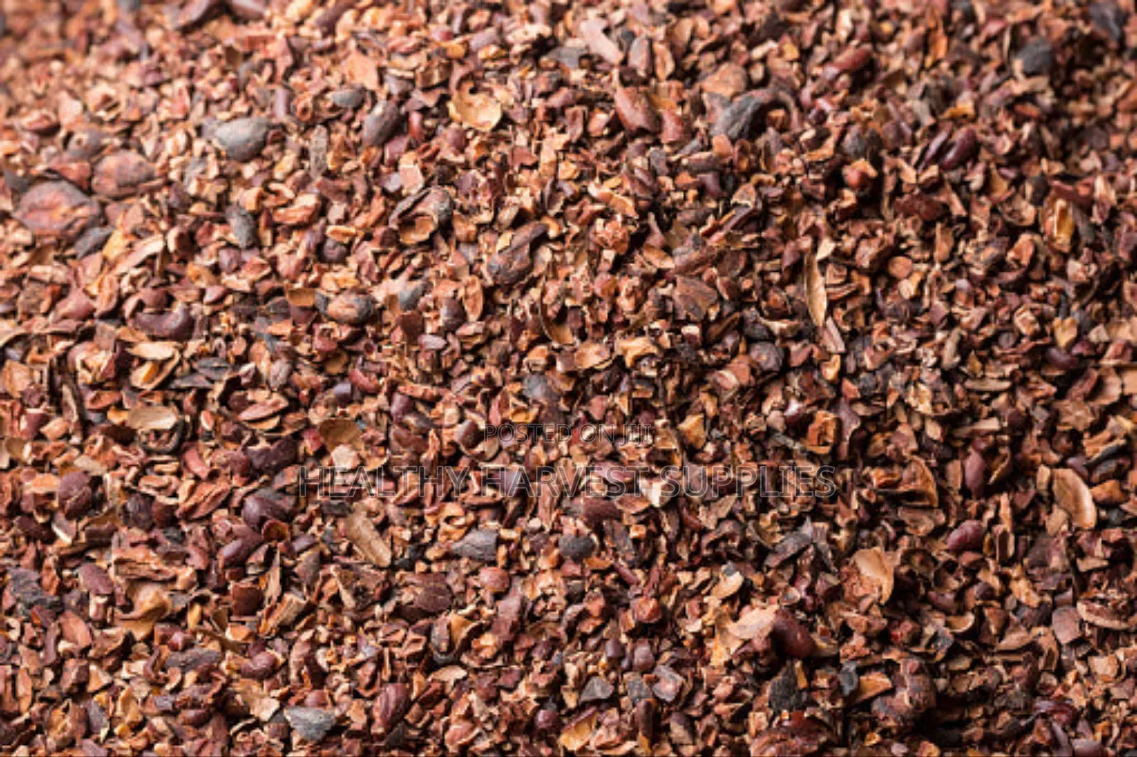 Cocoa Shells