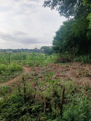 100 Acres Prime in Legon
• Minutes From University of Ghana, Upsa