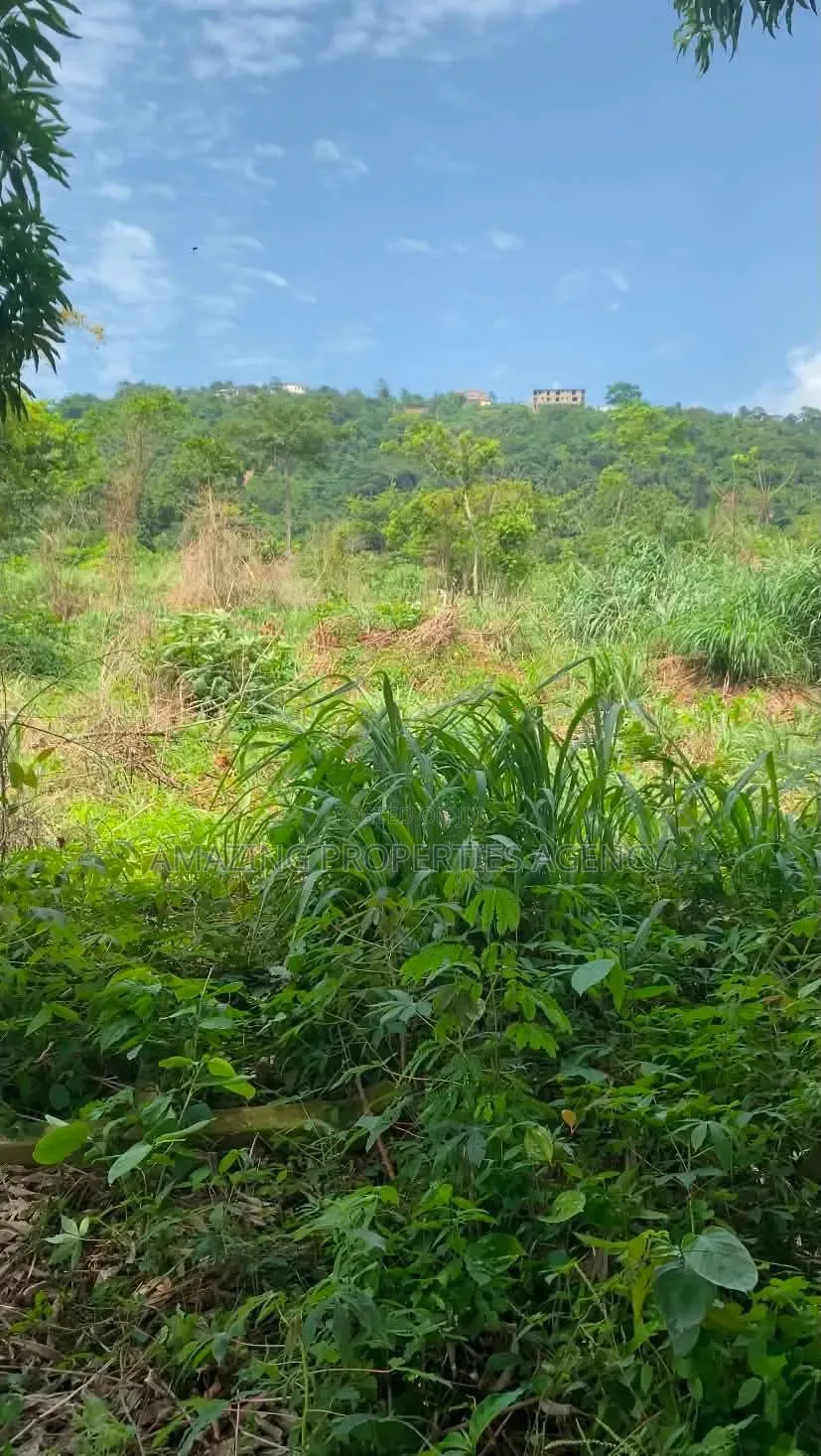 A. 50 Acres Prime in Legon
• Minutes From University of Ghana, Upsa