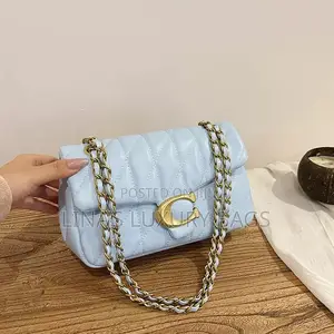 Coach Bag in Box