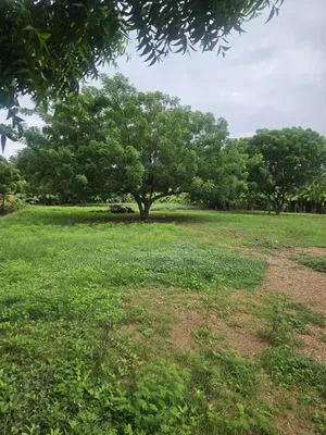 Prime Legon Land for Sale • 77 Acres Available • Prime in Legon