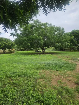 Prime Legon Land for Sale • 77 Acres Available • Prime in Legon