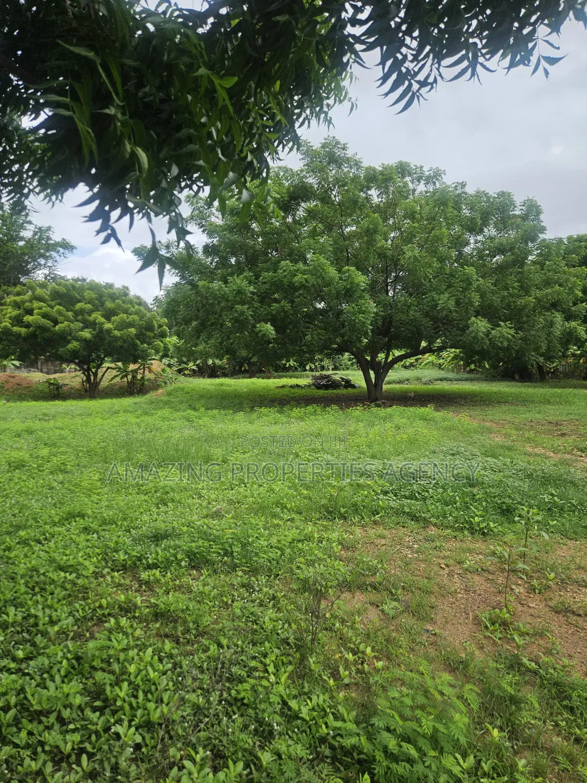 Prime Legon Land for Sale • 77 Acres Available • Prime in Legon