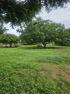 Prime Legon Land for Sale • 77 Acres Available • Prime in Legon