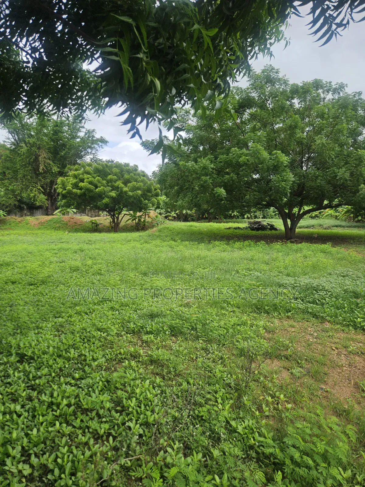 Prime Legon Land for Sale • 77 Acres Available • Prime in Legon