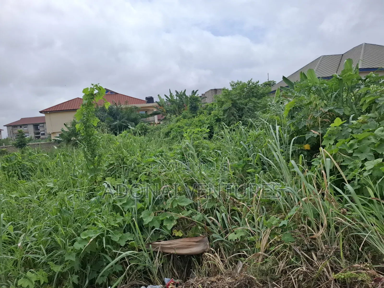 Full Plot of Land for Sale in Daban