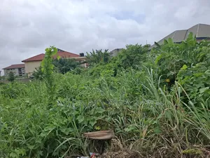Full Plot of Land for Sale in Daban
