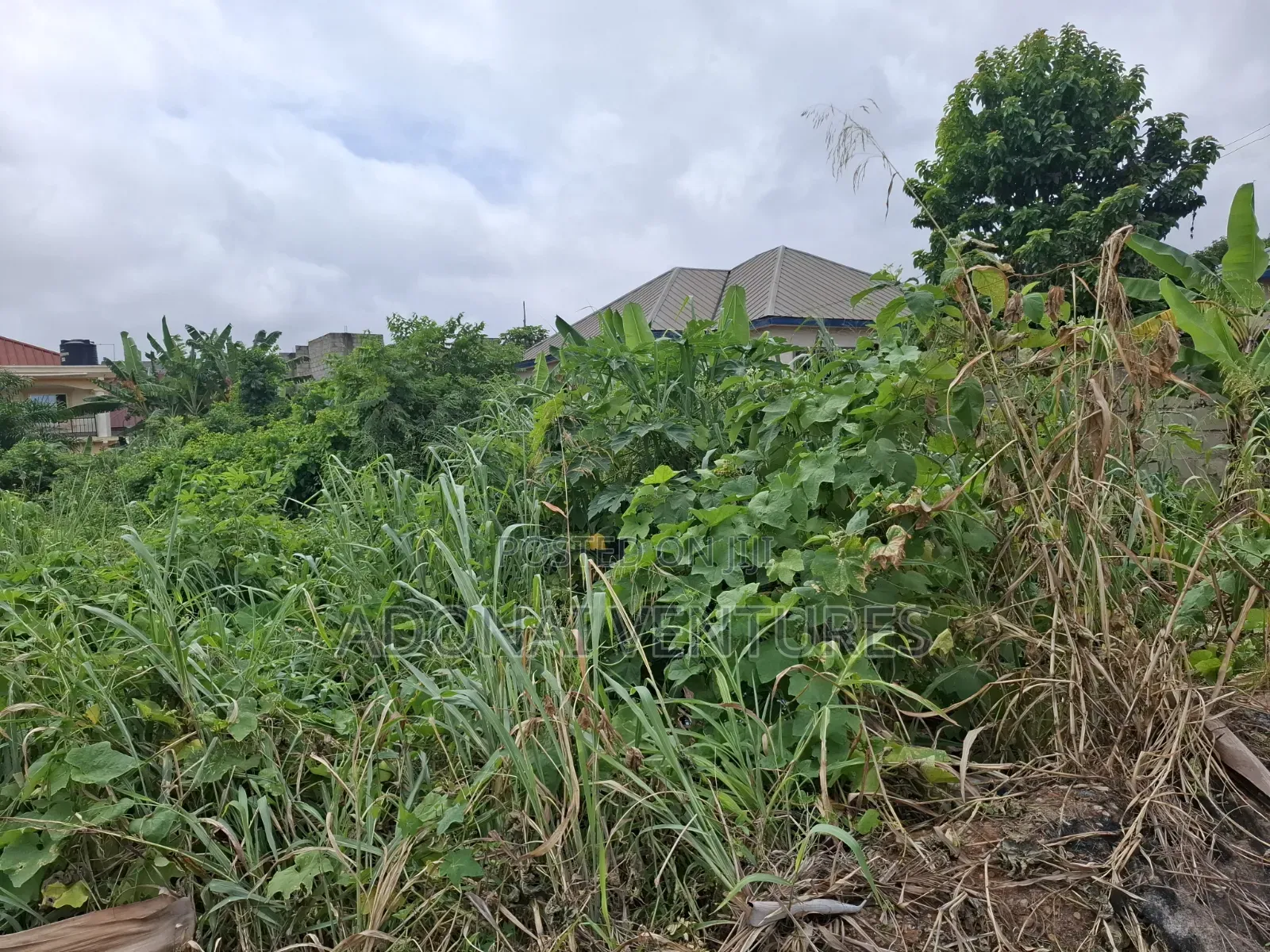 Full Plot of Land for Sale in Daban