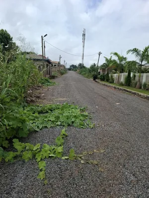 Full Plot of Land for Sale in Daban