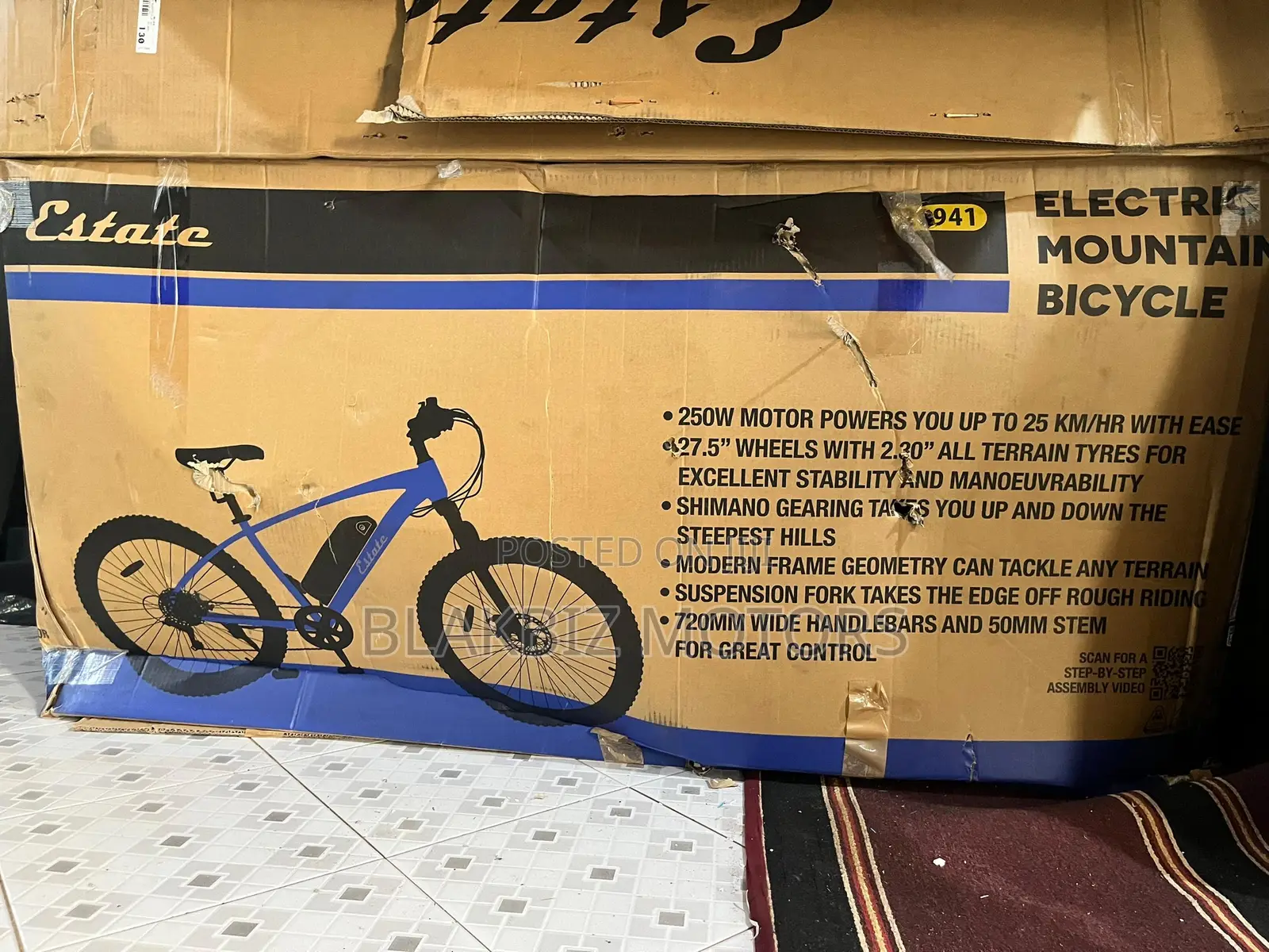 Mountain E-Bike