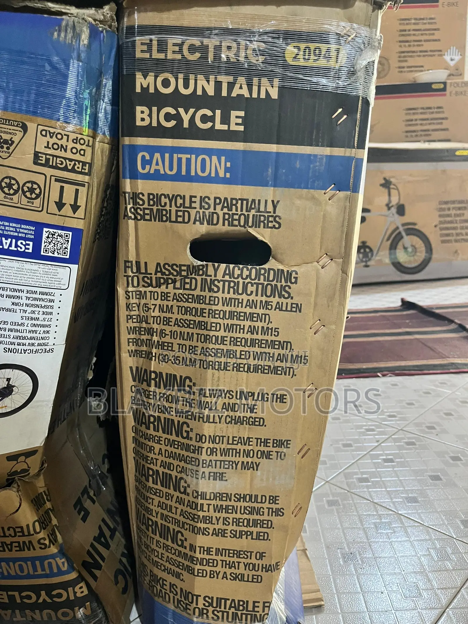 Mountain E-Bike