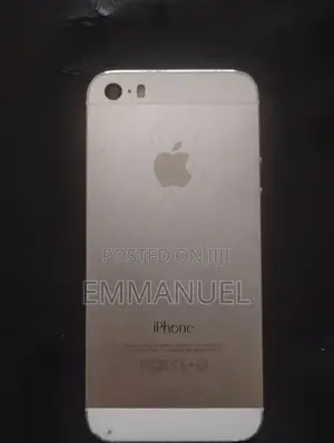 Apple iPhone 5s 16 GB Gray