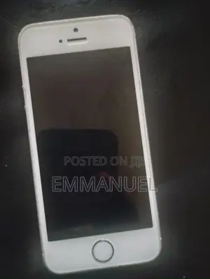 Apple iPhone 5s 16 GB Gray
