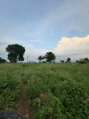 20 Acres Farmland for Sale at Asante Akyem North