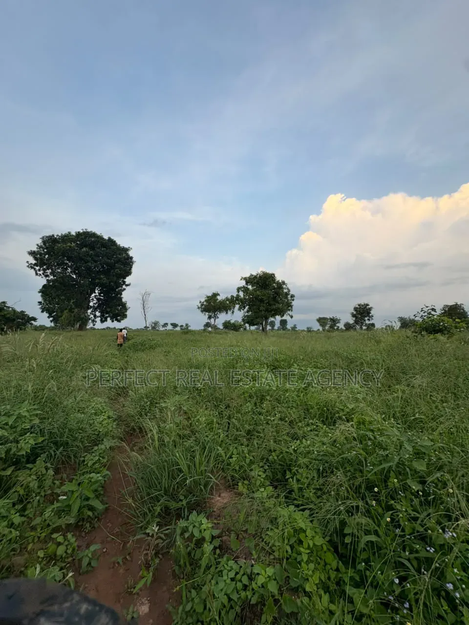 20 Acres Farmland for Sale at Asante Akyem North