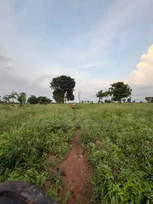 20 Acres Farmland for Sale at Asante Akyem North