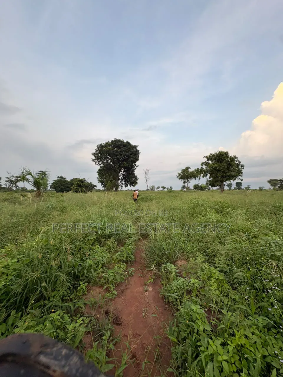 20 Acres Farmland for Sale at Asante Akyem North