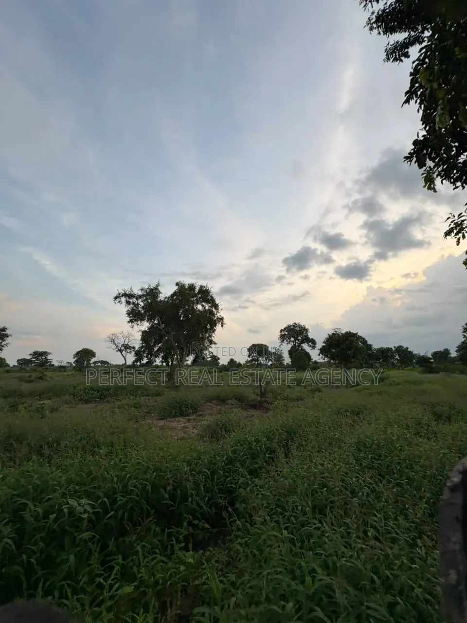 20 Acres Farmland for Sale at Asante Akyem North