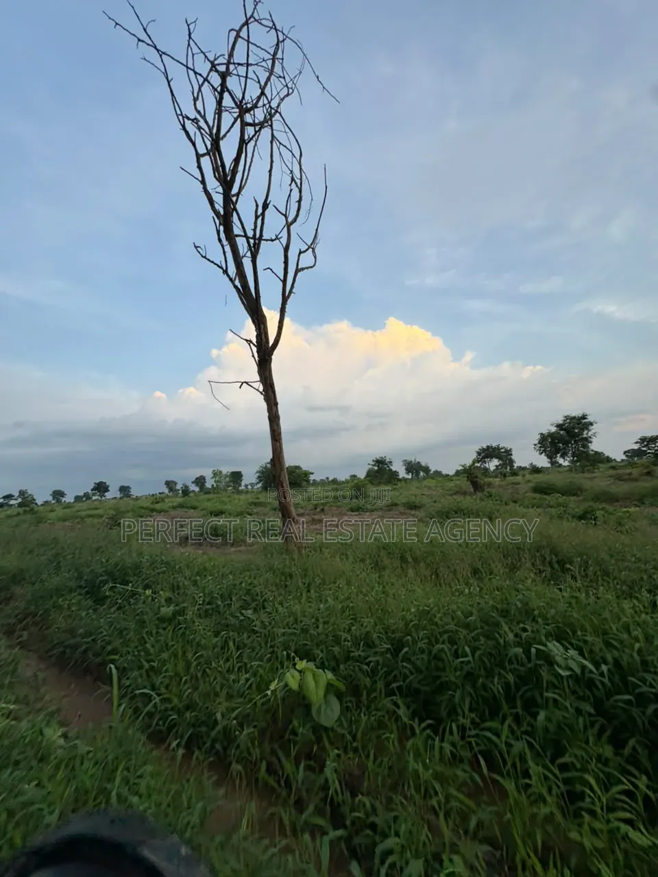 20 Acres Farmland for Sale at Asante Akyem North