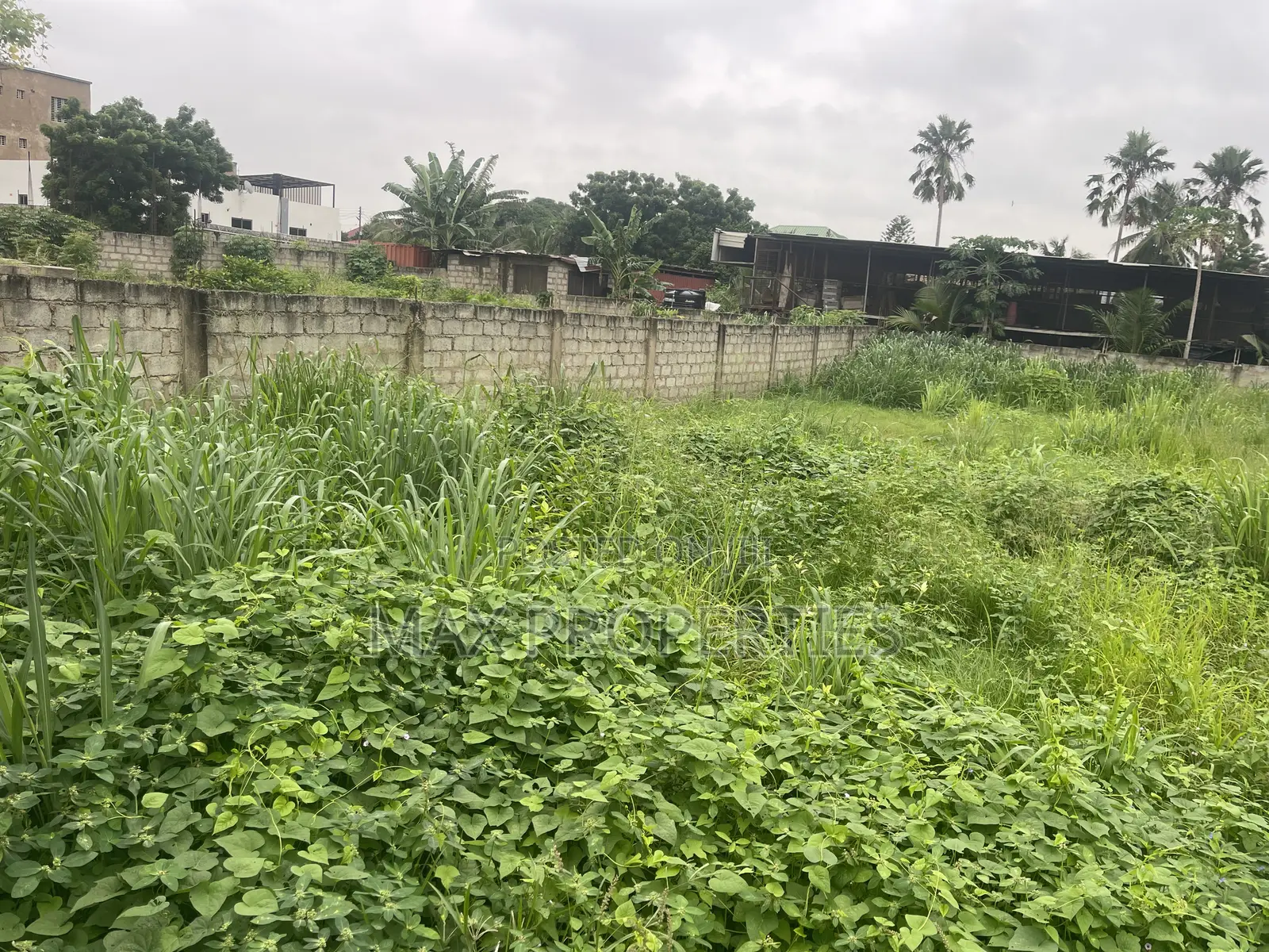 80/100 Plot of Land for Sale at Dome Pillar2 No Litigation