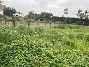 80/100 Plot of Land for Sale at Dome Pillar2 No Litigation