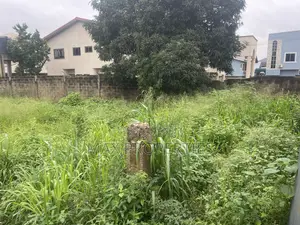 80/100 Plot of Land for Sale at Dome Pillar2 No Litigation
