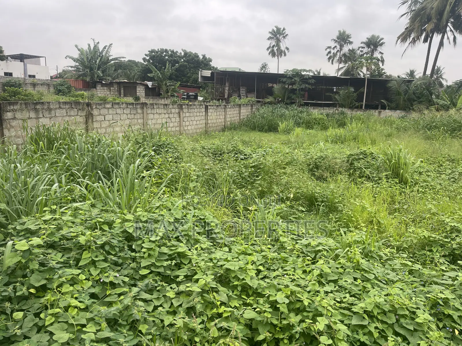 80/100 Plot of Land for Sale at Dome Pillar2 No Litigation