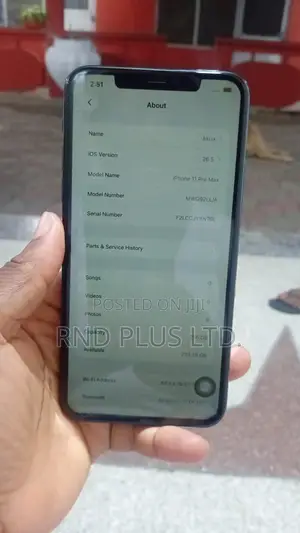 Apple iPhone 11 Pro Max 256 GB Blue