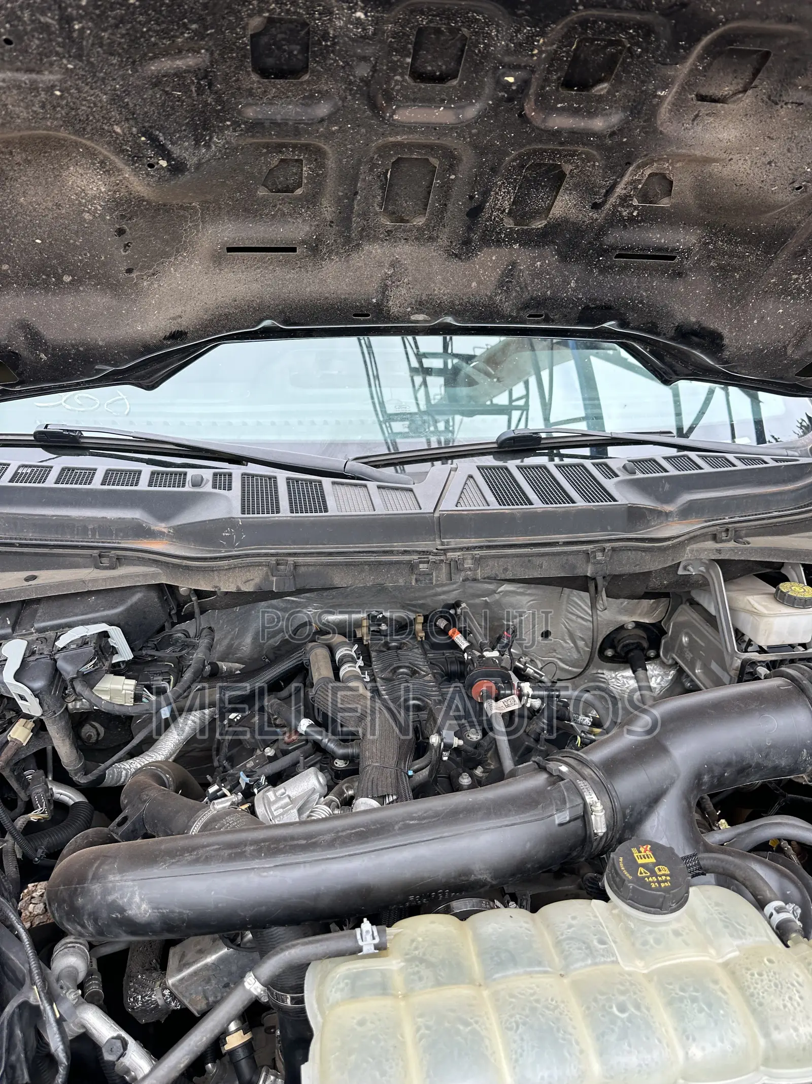 Ford F-150 XL 2023 Black