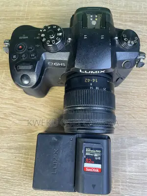 Panasonic Lumix Gh5