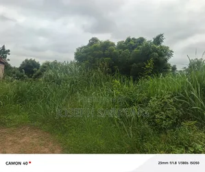 Property 100 by 70