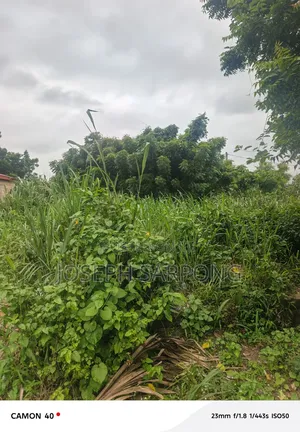 Property 100 by 70