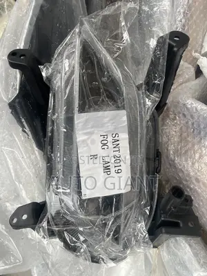 2019 Hyundai Santa Fe Fog Lamp